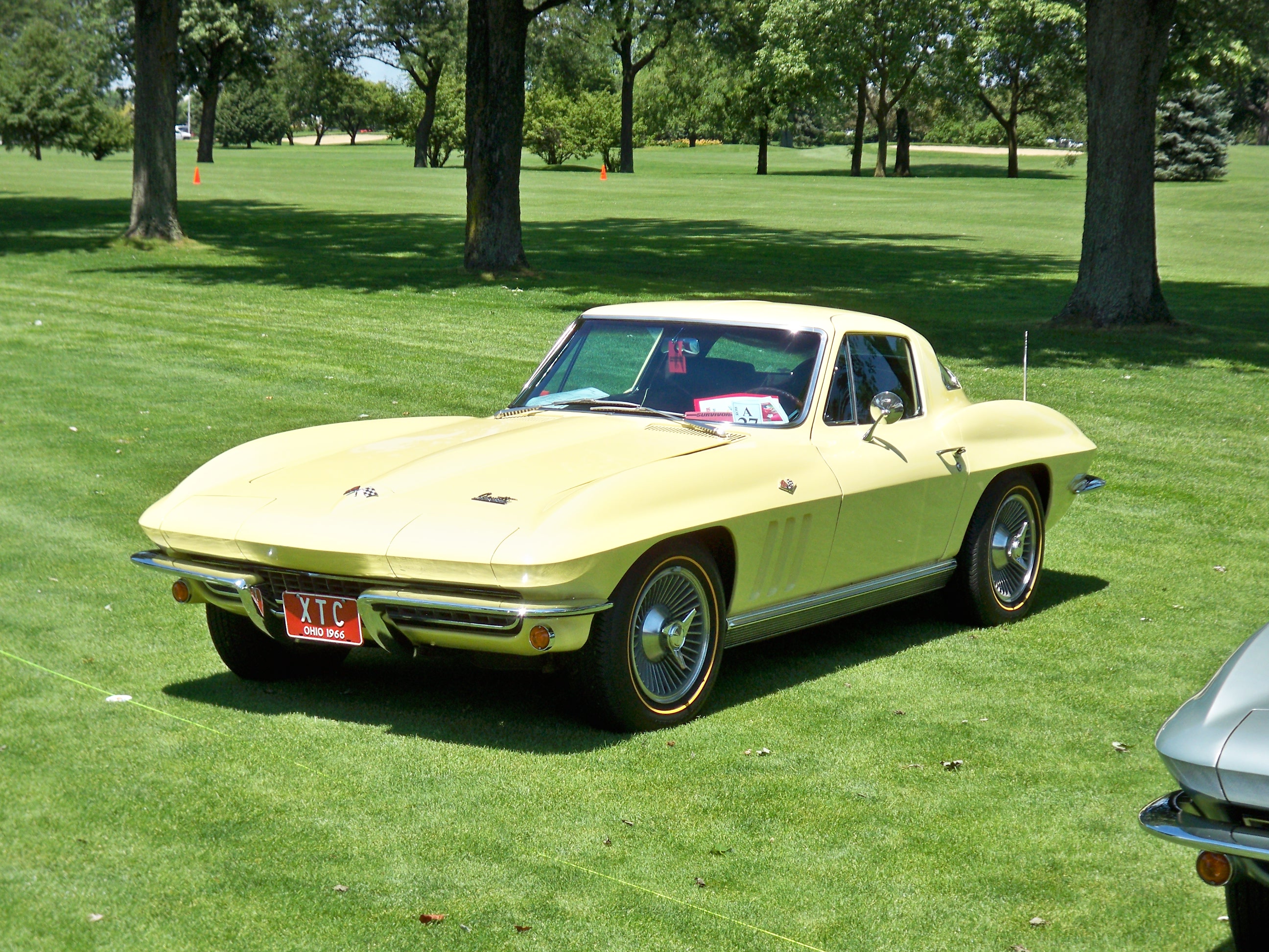Yellow Corvette Goldline Tires